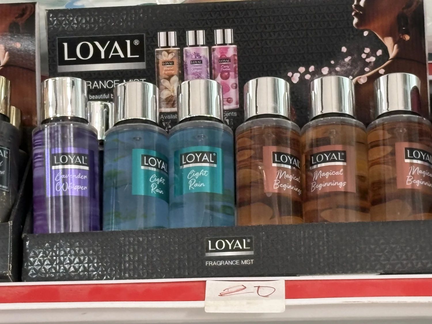 سبلاش جسم Loyal